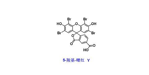 曙红 Y